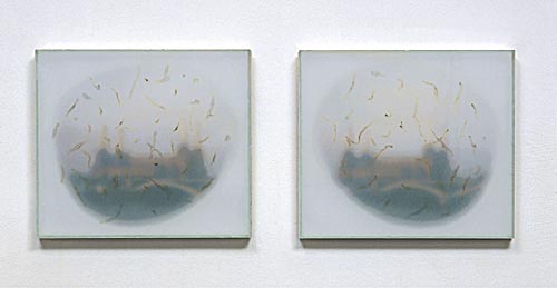Gyrgy, Katalin: Uncertainty :: Sand-blasted glass boxes, 4 pieces 24x21x2cm, 2002