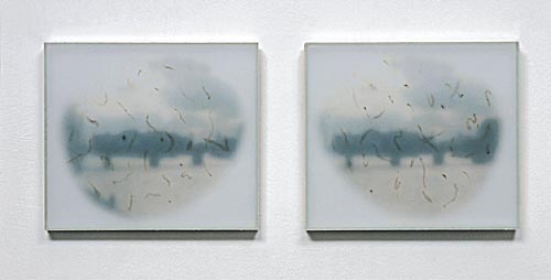Gyrgy, Katalin: Uncertainty :: Sand-blasted glass boxes, 4 pieces 24x21x2cm, 2002