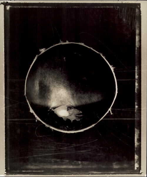 Kerekes, Gbor: Eye-Section 1-2-3 (1. Crystalline Lens; 2. Eye-Ground; 3. Eyescape) :: Silver bromide photograph, 34 x 28.5 cm, 1993