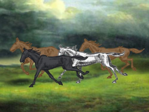 Kirkovits, Andrea: Horse-Play :: Experimental film, 2002