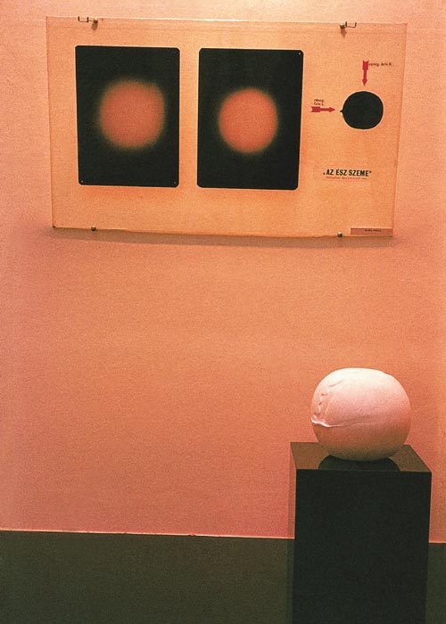 Erdly Mikls: Az sz szeme :: rntgenfilm, veg, gipsz, 40x50x20 cm, 1973
